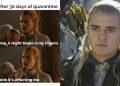 A split image showing a meme and Legolas in Lord of the Rings