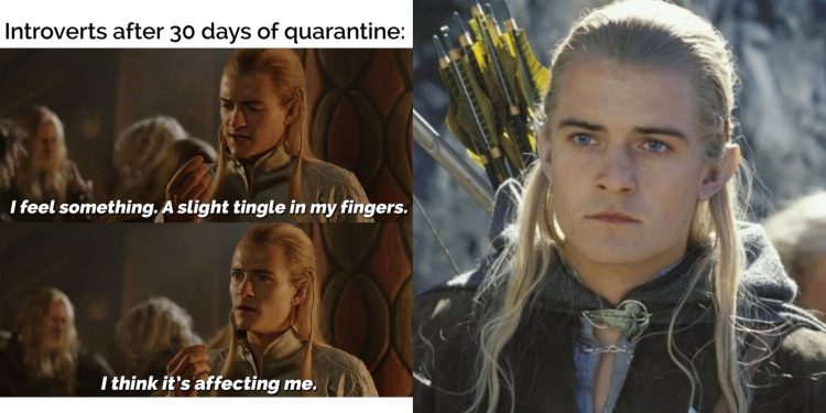 A split image showing a meme and Legolas in Lord of the Rings