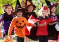 5 Things to do in the North Shore: October 28