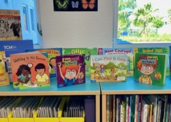 Building Connections in Classroom Library
