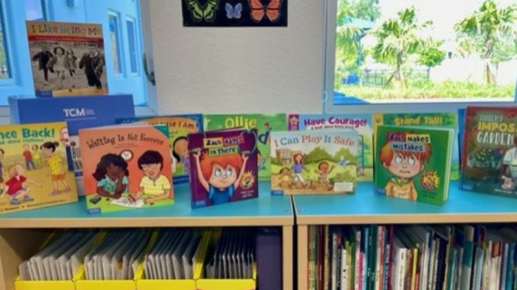Building Connections in Classroom Library