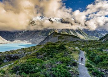 Hiking In New Zealand Trekking Guide