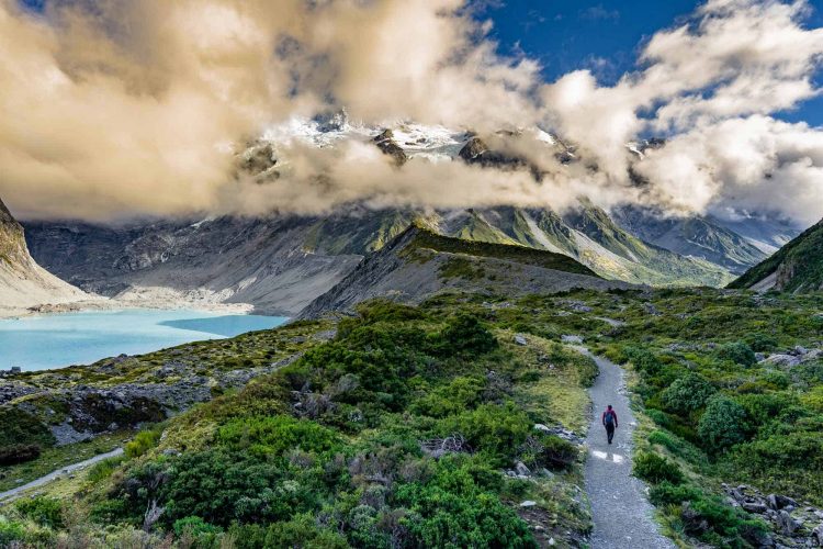 Hiking In New Zealand Trekking Guide