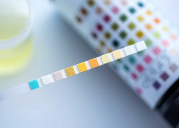 How to Assess Your Biochemical Individuality