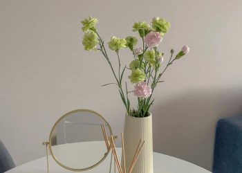 How to Improve Indoor Air Quality