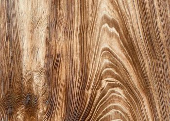 New Floor Installation: What to Know