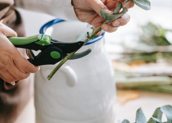 Small Business Tips You Should Pay Attention To