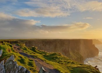 The 5 Best Business Travel Management Companies in Ireland