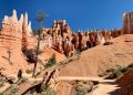 Hiking through the hoodoos on the Queen