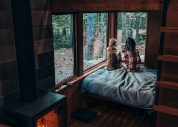 What to Do Before Starting a Fire in a Fireplace