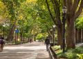 Why elite colleges won't give up legacy admissions