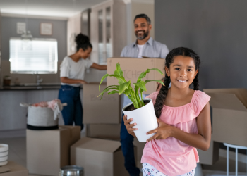 link to Holly author page