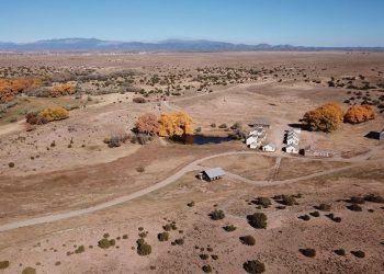 ‘Rust’ to Restart Production in California – The Hollywood Reporter