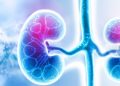 Eating Mistakes That Can Damage Your Kidneys