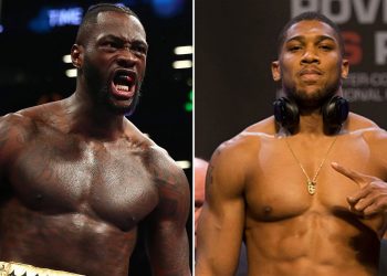 Joshua Vs Wilder - Talks Underway