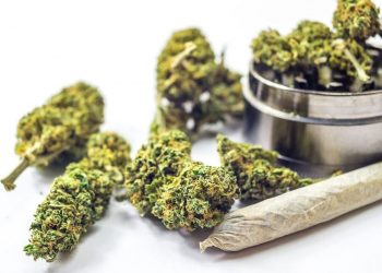 One in 10 Virginians Admit to Being High on Marijuana Behind the Wheel - Safety