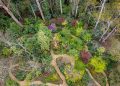 Paradise in the city: welcome to Jubilee Garden