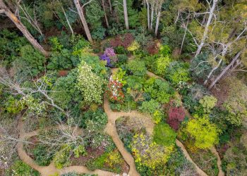 Paradise in the city: welcome to Jubilee Garden