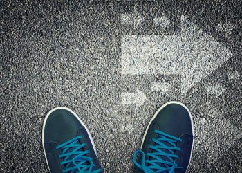 What Are Brand Guidelines? A Clear Roadmap for Your Business