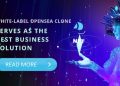 White-label Opensea Clone serves as the best business solution - why