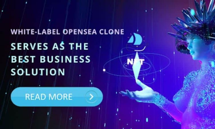 White-label Opensea Clone serves as the best business solution - why